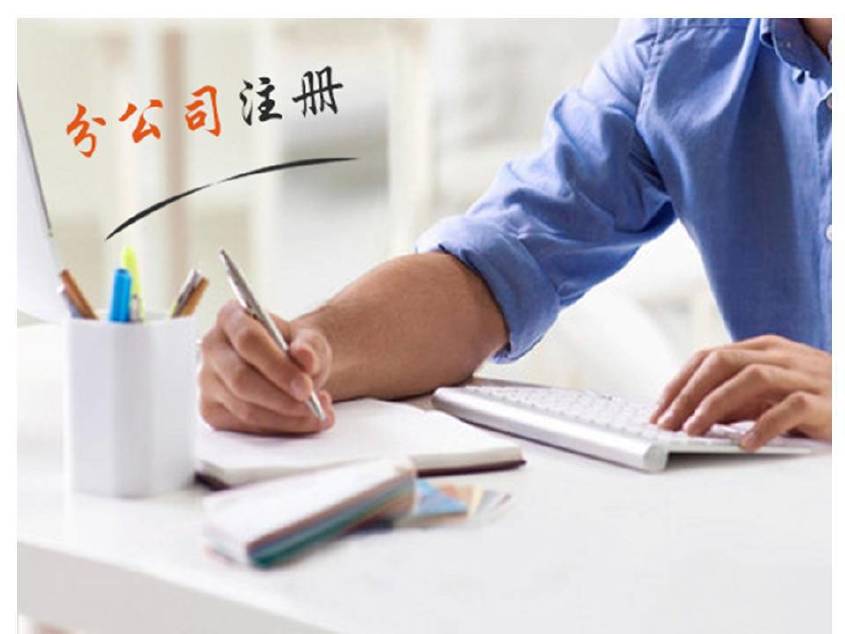 沙坪坝高效代理营业执照和代办工商注册及设立标准登记办理服务？